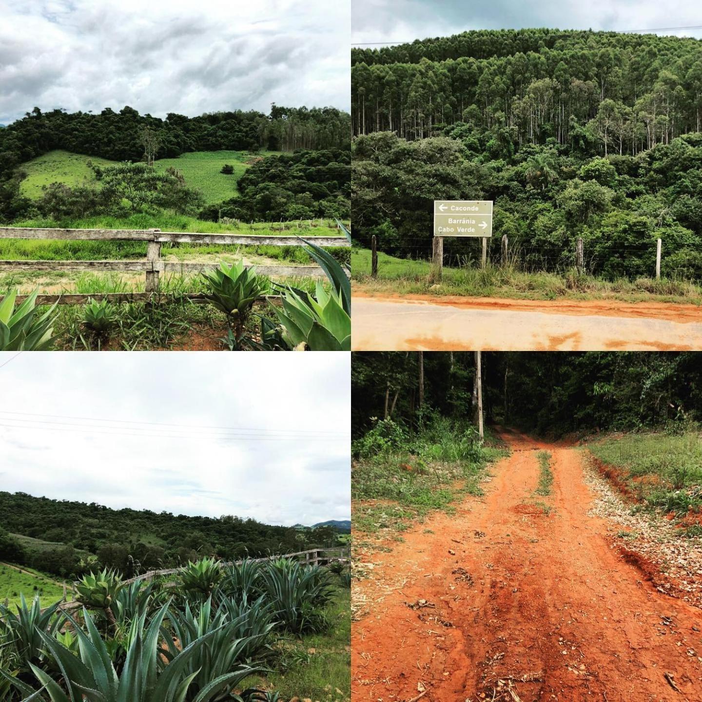 Pousada Encanto Da Mata - Ecologica Caconde Eksteriør billede